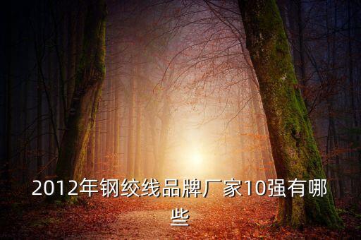 2012年鋼絞線品牌廠家10強(qiáng)有哪些