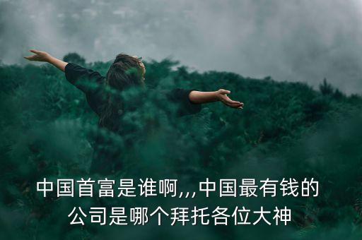 中國首富是誰啊,,,中國最有錢的 公司是哪個(gè)拜托各位大神