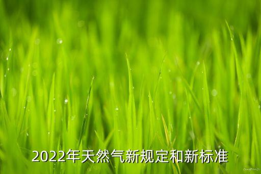 2022年天然氣新規(guī)定和新標準