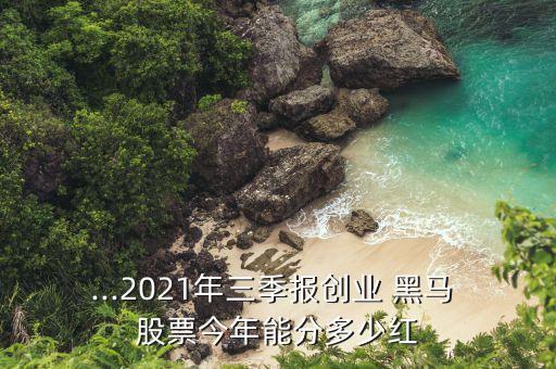 ...2021年三季報創(chuàng)業(yè) 黑馬 股票今年能分多少紅