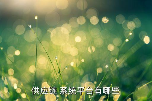 供應(yīng)鏈 系統(tǒng)平臺有哪些