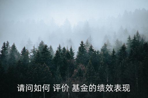 請(qǐng)問如何 評(píng)價(jià) 基金的績效表現(xiàn)