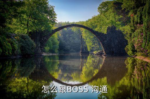 怎么跟BOSS 溝通