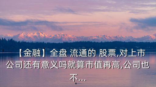 【金融】全盤 流通的 股票,對上市公司還有意義嗎就算市值再高,公司也不...