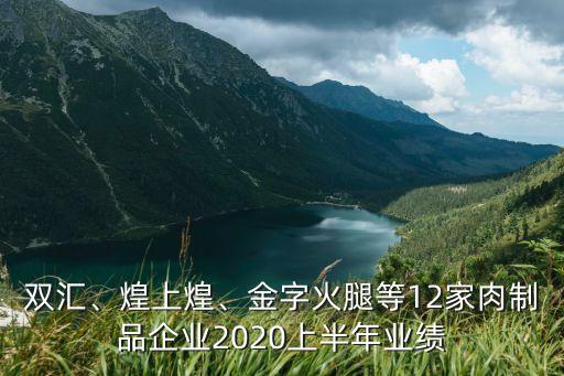 雙匯、煌上煌、金字火腿等12家肉制品企業(yè)2020上半年業(yè)績