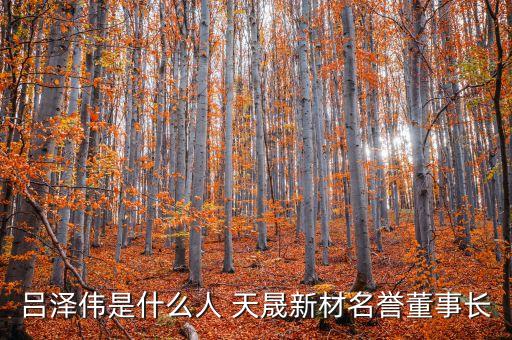 呂澤偉是什么人 天晟新材名譽(yù)董事長(zhǎng)