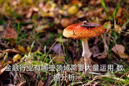 金融行業(yè)有哪些領域需要大量運用 數(shù)據(jù)分析