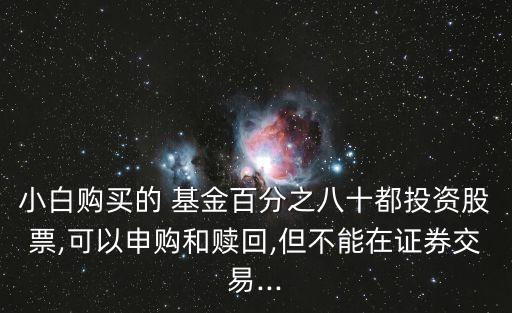 浦銀安盛基金招募說(shuō)明書(shū),011717浦銀安盛基金