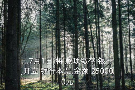 存放在銀行的款項(xiàng)250000