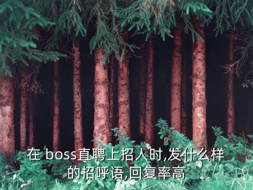 在 boss直聘上招人時(shí),發(fā)什么樣的招呼語,回復(fù)率高