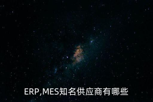 ERP,MES知名供應(yīng)商有哪些