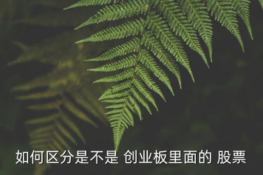 如何區(qū)分是不是 創(chuàng)業(yè)板里面的 股票