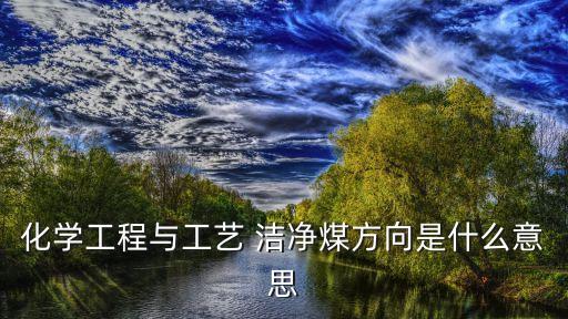 化學(xué)工程與工藝 潔凈煤方向是什么意思