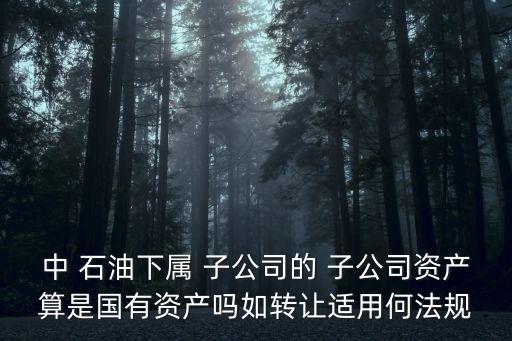 中石油上市子公司,寶石花是不是中石油的子公司