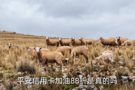 深圳銀行加油卡,哪個銀行的加油卡最劃算