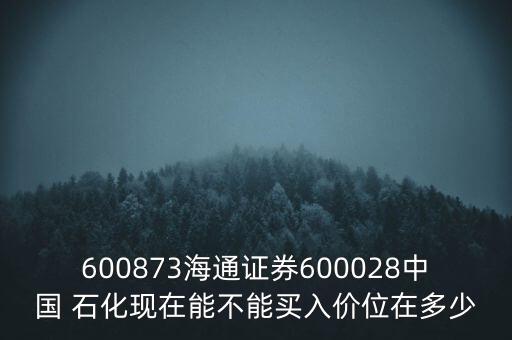 600873海通證券600028中國 石化現(xiàn)在能不能買入價(jià)位在多少