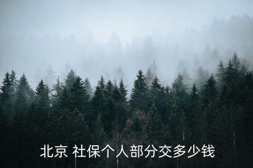  北京 社保個人部分交多少錢