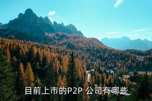 目前上市的P2P 公司有哪些