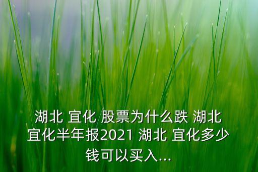  湖北 宜化 股票為什么跌 湖北 宜化半年報(bào)2021 湖北 宜化多少錢(qián)可以買(mǎi)入...