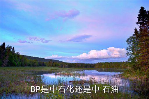 bp石油公司,BP石油公司銷售人員的售中客戶關(guān)系推進(jìn)