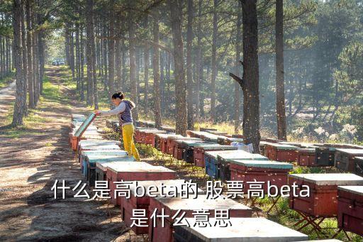 什么是高beta的 股票高beta是什么意思