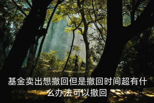 當(dāng)天買的基金如何撤單,基金當(dāng)天賣出可以撤單嗎