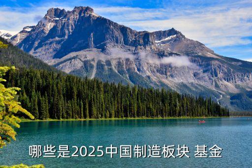 哪些是2025中國制造板塊 基金