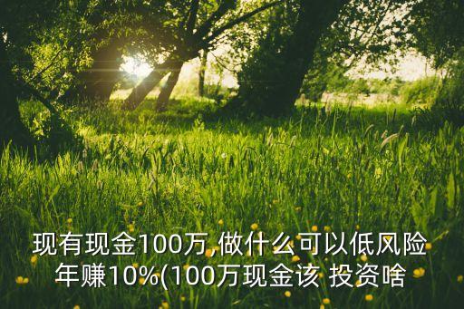 現(xiàn)有現(xiàn)金100萬,做什么可以低風(fēng)險年賺10%(100萬現(xiàn)金該 投資啥