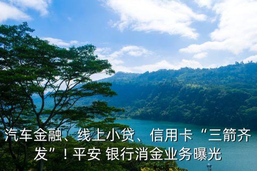 汽車金融、線上小貸、信用卡“三箭齊發(fā)”! 平安 銀行消金業(yè)務(wù)曝光