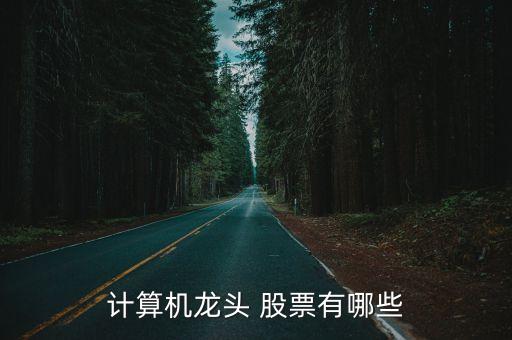 計算機龍頭 股票有哪些