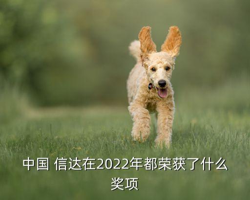 中國(guó) 信達(dá)在2022年都榮獲了什么獎(jiǎng)項(xiàng)