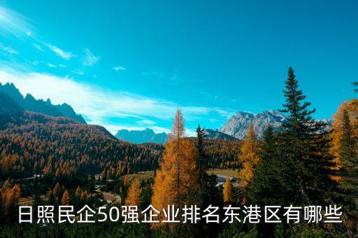 日照民企50強企業(yè)排名東港區(qū)有哪些