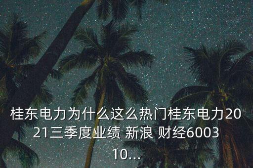 桂東電力為什么這么熱門桂東電力2021三季度業(yè)績 新浪 財(cái)經(jīng)600310...