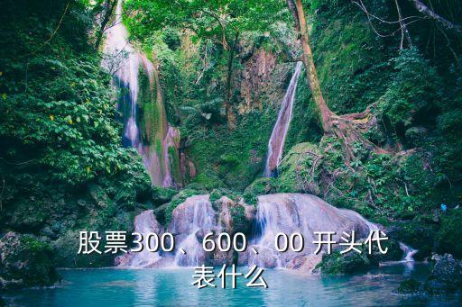  股票300、600、00 開頭代表什么