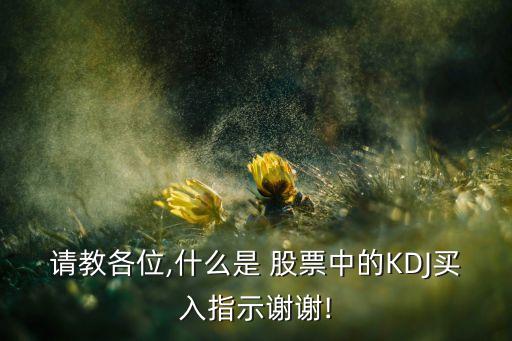 請(qǐng)教各位,什么是 股票中的KDJ買入指示謝謝!