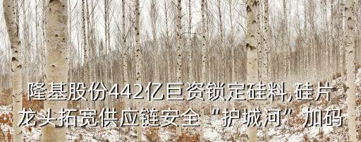 隆基股份442億巨資鎖定硅料,硅片龍頭拓寬供應(yīng)鏈安全“護(hù)城河”加碼