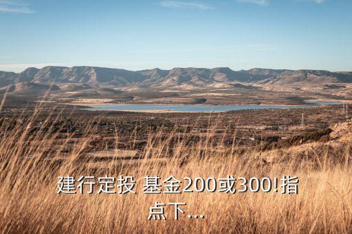  建行定投 基金200或300!指點下…