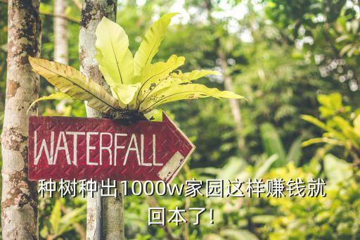  種樹(shù)種出1000w家園這樣賺錢就回本了!