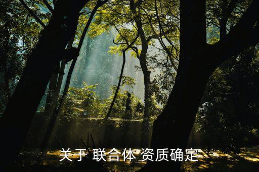 株洲聯(lián)合城市建設(shè)有限責任公司注冊資質(zhì)