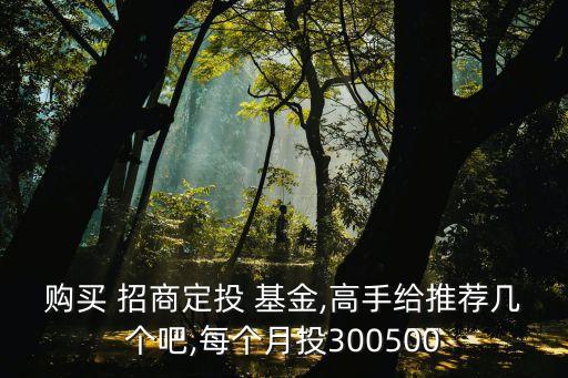 購買 招商定投 基金,高手給推薦幾個吧,每個月投300500