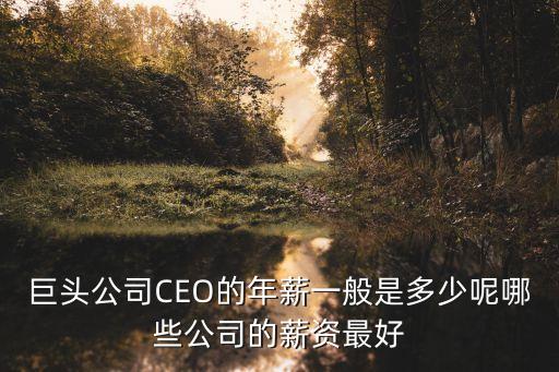 巨頭公司CEO的年薪一般是多少呢哪些公司的薪資最好