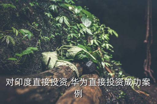 華為對印度直接投資,華為直接投資成功案例