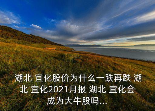  湖北 宜化股價(jià)為什么一跌再跌 湖北 宜化2021月報(bào) 湖北 宜化會(huì)成為大牛股嗎...