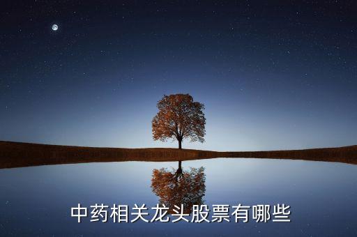 三七中藥上市公司,生產(chǎn)三七的上市公司