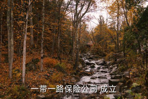 一帶一路保險(xiǎn)公司 成立