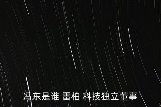 馮東是誰 雷柏 科技獨(dú)立董事