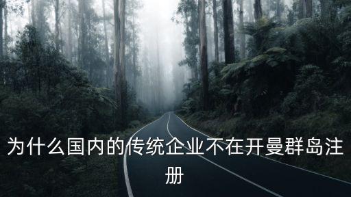 為什么國(guó)內(nèi)的傳統(tǒng)企業(yè)不在開曼群島注冊(cè)