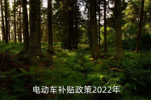  電動車補(bǔ)貼政策2022年