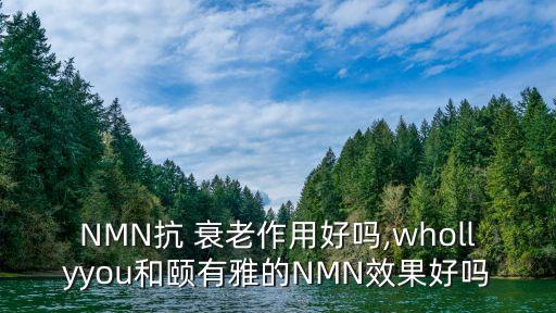 NMN抗 衰老作用好嗎,whollyyou和頤有雅的NMN效果好嗎