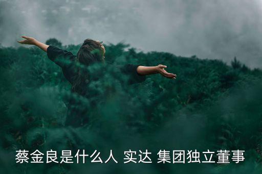 蔡金良是什么人 實達(dá) 集團(tuán)獨立董事